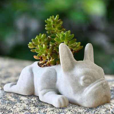 Vaso da Fiori Bulldog Francese Statua in Resina Figurina Piante Grasse Piante Aromatiche Vaso Contenitore Decorazione Casa Balcone Giardino