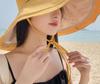 Women's Double-Sided Windproof Seaside Sun Hat with Large Brim for Summer
