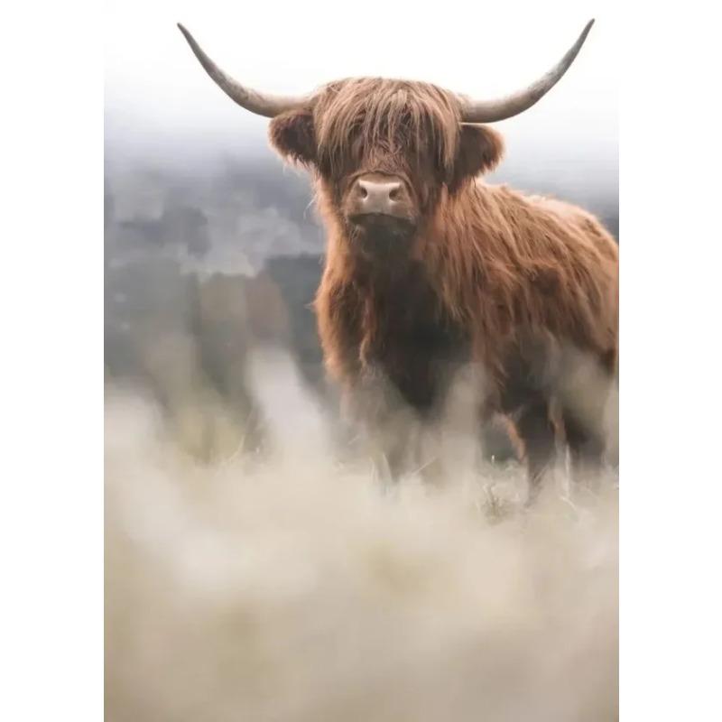 Scottish Highland Cow Wild Animal Nordic Nature Landscape Poster Canvas Painting Wall Art Pictures for Room Home Farmhouse Decor