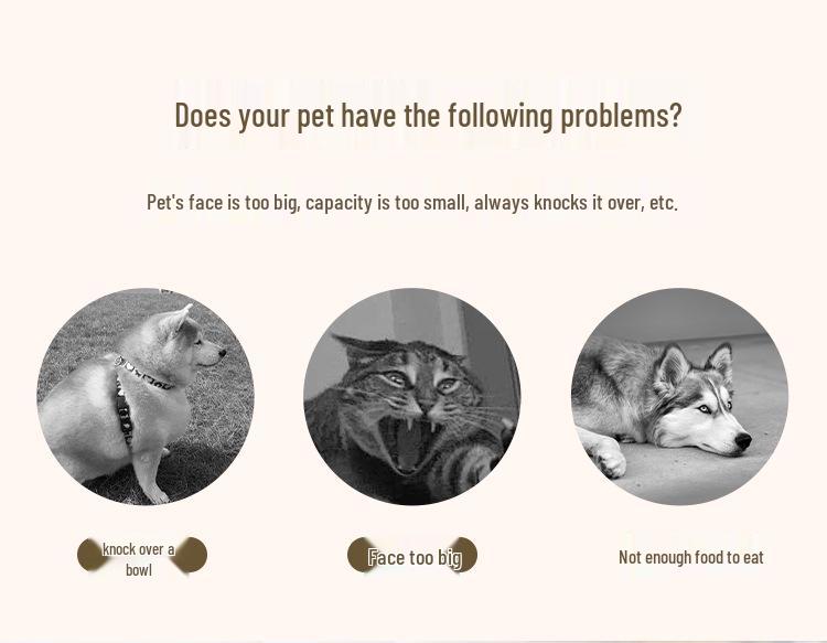 Non-Slip Stainless Steel Slow Feeder Bowl for Small to Medium Dogs and Cats