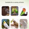 Parrots Cage Feeders Hollows Bird Food Holder with Hook Mounting for Easy Refill Chew Resistant Millets Storage for Parakeets
