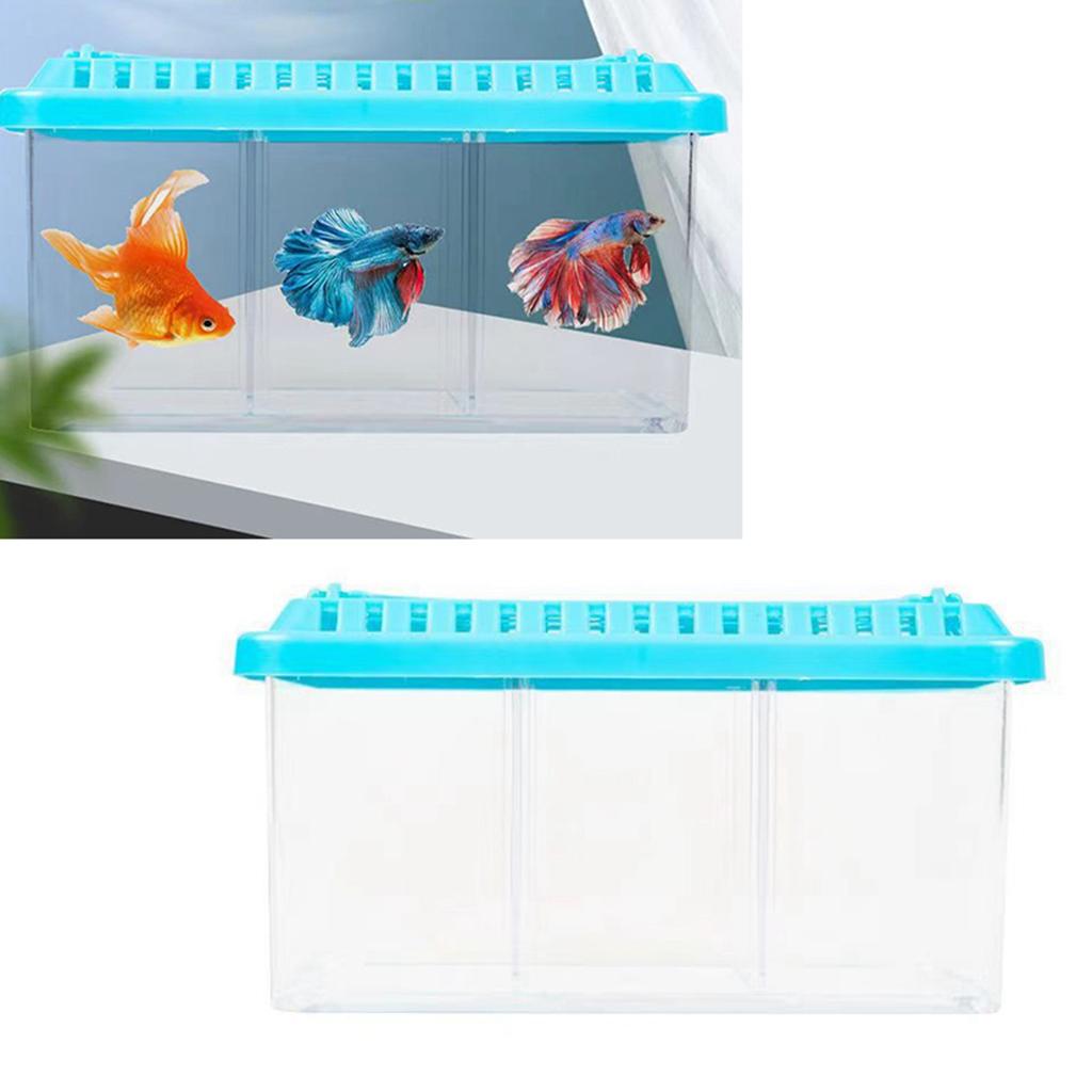 Acrylic Fish Tank Detachable 3 Areas Small Aquarium Desktop Ornamental Transparent Fish Tank for Hom