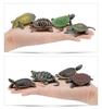 Compact Size Turtle Figure Frog (Hillary Turtle)