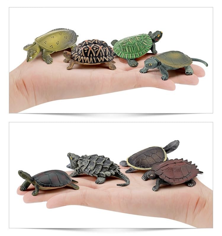Compact Size Turtle Figure Frog (Hillary Turtle)