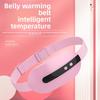 Temperature Control Massage Instrument Uterine Cold and Heat Compress Warm Gongbao Dysmenorrhea Warm Belt