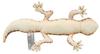 BH8140 HANSA Leopard Gecko 26
