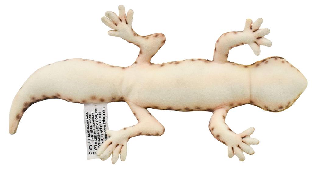 BH8140 HANSA Leopard Gecko 26