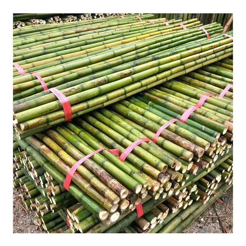 Yishunda Multi-Purpose Bamboo Poles