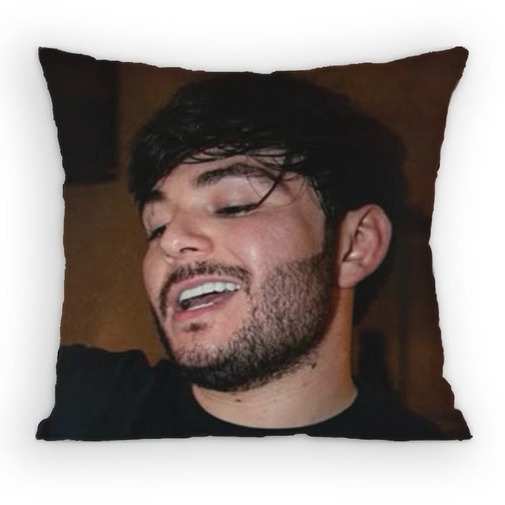 Singer Tito Double P Pillow Case Sofa Living Room Bedroom Headboard Backrest Cushion Square Cushion Nap Time