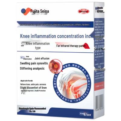 Fujita Therapeutic Patches for Pain Relief and Wellness