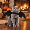 Pet Costume for Party Halloween Bat Wings Costume, Felt Black Harness Small Dogs Cats, Funny Dress Up Apparel Cosplay Parties And Holiday Decoration