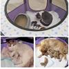 Foldable camping outdoor cat and dog house portable breathable tent round pet production box maternity supplies dog bed fence