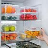 300/600/1200ml Fresh-keeping Boxes Refrigerator Storage Container with Lid for Meat Fruits Vegetables Kitchen Food Organizer