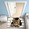 Water-absorbing Optical Illusion Doormat Non-slip Bedroom Door Rug Bathroom Carpet  Home Decor