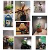 Plant Lights For Indoor Growing Sun Simulation Fill Lamp For Flower LED Full Spectrum Grow Lights With 360 Degree Rotation