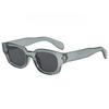 Unisex Fashion Trendy Retro Vintage Sunglasses Small Frame Oval Narrow Sunglasses for Street Photography UV Protection
