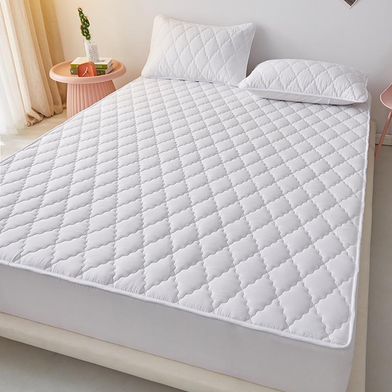 Waterproof Quilted Fitted Mattress Protector,Stain Resistant Mattress Cover,Soft Protective Bedding Mat Noiseless Mattress Cover