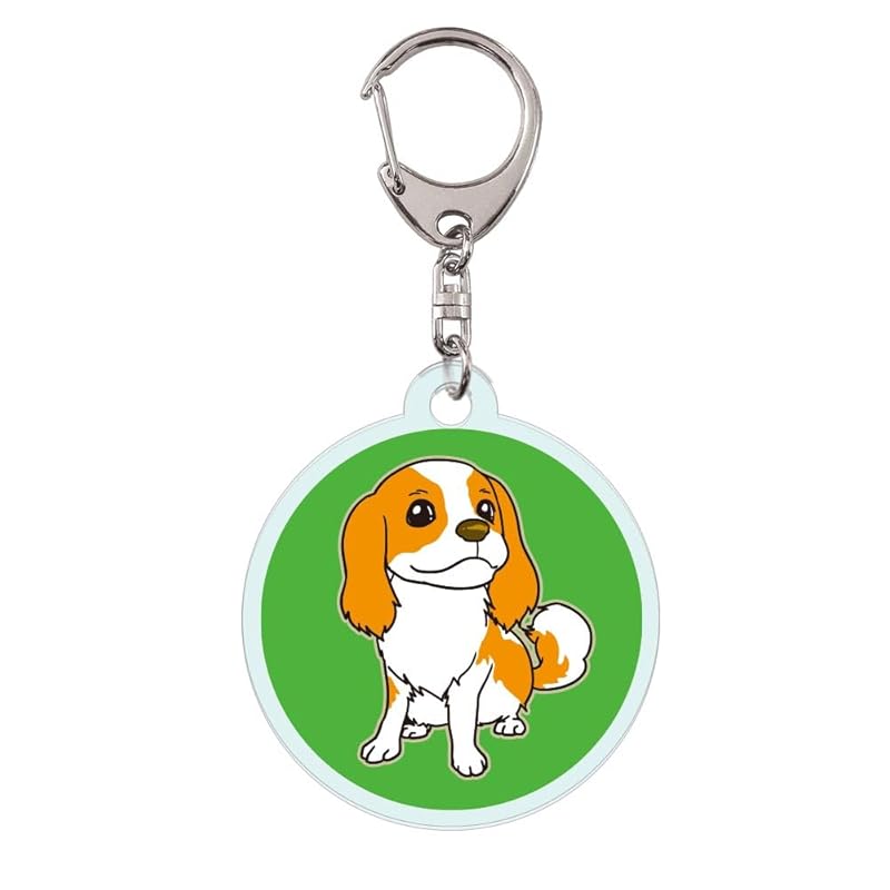 

clear acrylic key ring cavalier king charles spaniel
