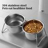 Raised Cat Bowls 15°Tilted Dog Water Bowl Stable Dog Bowls  Pet Supplies