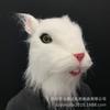 White Cat Super Cute Simulation with Hair Mask Latex Squirrel Mouse Horse Head Mask Cosplay Animal Head Cover