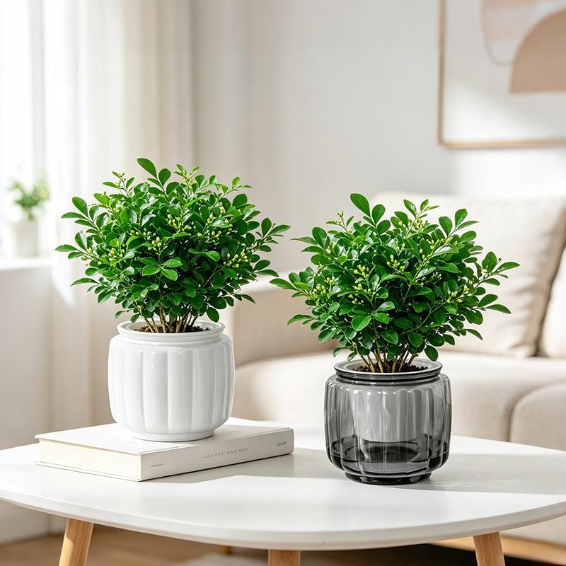Mini Self Watering Flower Pot Fish Tank Transparent BPA-Free Plastic Dual Use Decor for Office Desktop Home Decoration