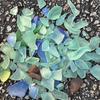 Handmade Sea Glass Tree Multi-Color Christmas Tree DIY Ornament  Kids Gifts