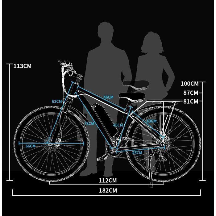 Vélo électrique - DUOTTS - C29 - Moteur 1000W - Batterie 48V 15Ah - Autonomie 80KM