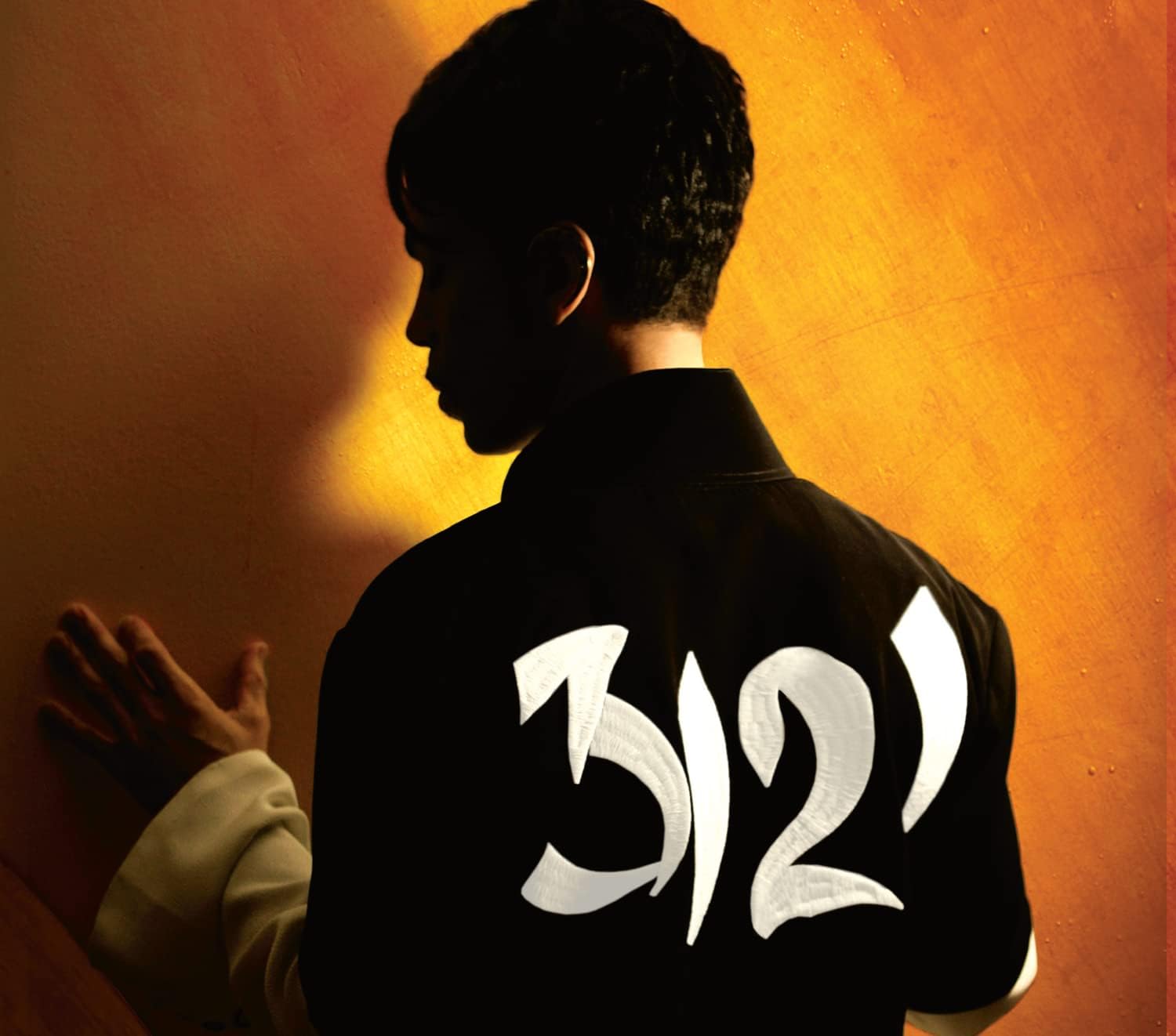 

CD PRINCE - 3121 0502438520727 Japan Soul/Funk Used