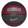 Nike LeBron All Court Basketball