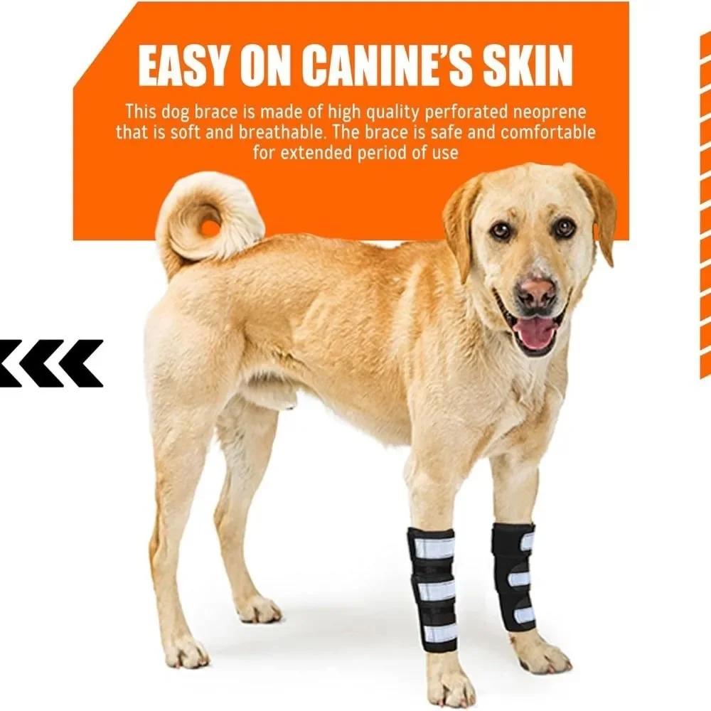 1 PZ Supporto Metallico Portatile per Zampe Anteriori del Cane Strisce Riflettenti Ginocchiera Antiscivolo Cinghie Regolabili Traspiranti Supporto Articolare