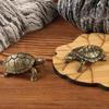 Antique Solid Copper Turtle Brass Ornament Brings Wealth Safety Longevity Marine Organism Animal Metal Figurines Souvenir