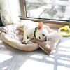 Knitted Christmas Snood & Scarf for Pets: Cat & Small Dog Collar Accessories, Crochet Photo Props