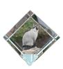 Snowshoe – Crystal Cube with a Picture of a Cat, Crystal with a Picture of a Horse |