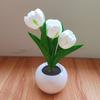 Night Light USB Rechargeable Wireless Tulip LED Lamp Touch Control Dimmable Cute Desk Lamp for Bedroom Living Room Travel Gift for Women Mom