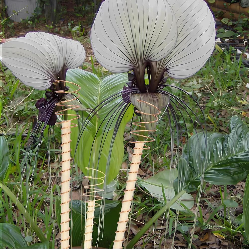 6pcs 11.8in Electroculture Plant Stakes for Growing Garden Plants and Vegetables