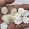 Packung mit 10 polierten 20*21mm Süßwasser-Perlmutt-Jakobsmuschel-Scheiben Perlmutt-Weiße Muschel-Perlen Für Strand Sommer Handgemachte Bastelmaterialien Großhandel