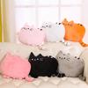 40*30cm Creative Home Decoration Hug Pillow Sofa Headboard Cushion Meow Man Pillow Big Face Cat Cartoon Biscuit Pillow Festival Friend Birthday Gift