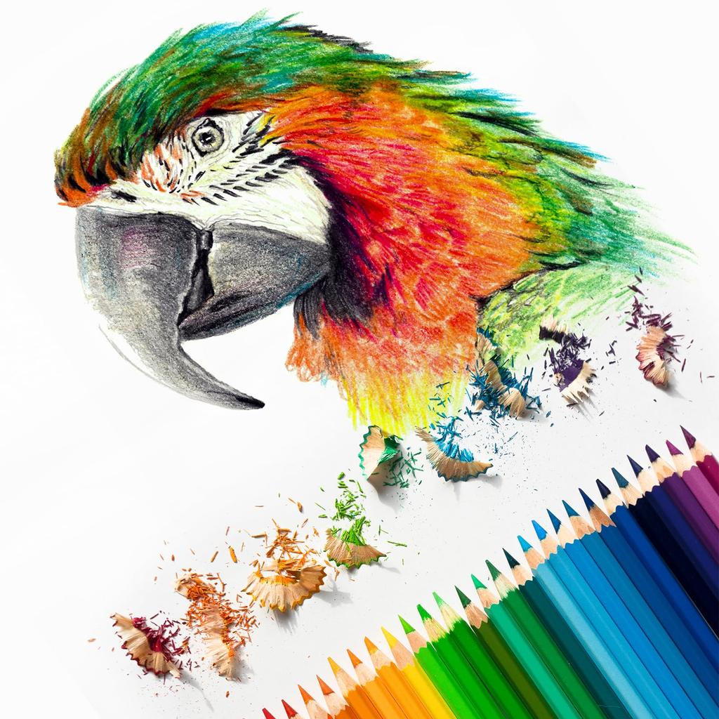 PATIKIL Colored Set for and Bright Blue Water-Soluble Pencils, 24-Piece Blending, Coloring, Sketching, Painting,