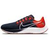 Air Zoom Pegasus 38 Chicago Bears DJ0811-400
