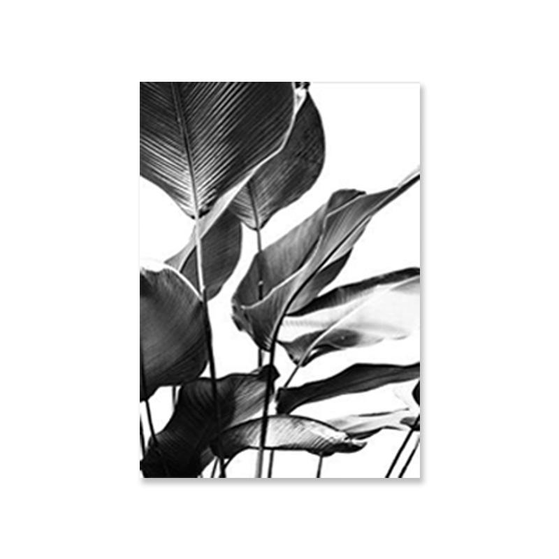 

Черно-белые тропические плакаты с пальмовыми листьями, банановые листья, холст, картина, интерьер гостиной, настенная художественная картина для домашнего декора 21x30cm No Framed