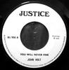 7-Zoll-Schallplatte JOHN HOLT THE AGGROVATORS You Will Never Fine Version BL108 Justice UK Reggae Ska Dub Gebraucht