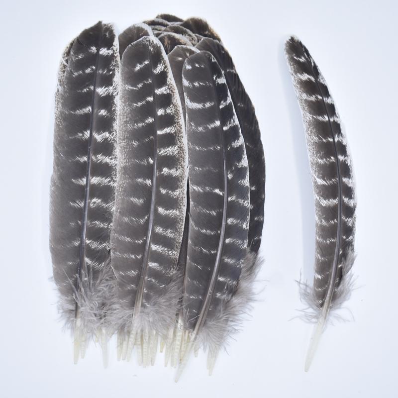 10Pcs/Lot Real Natural Turkey Feather Eagle Bird Feathers For Crafts Birds Plumes Decor Carnaval Accessories Manmade Decorations