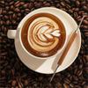 With Wood Handle Coffee Art Needles with Box Espresso Accessory Coffee Latte Art Pen  Barista
