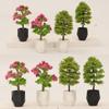 1/12 Dollhouse Simulation Plant Potted Model Dollhouse Mini Home Decoration Dolls House Micro Garden Landscape Ornaments