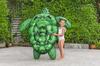 Bestway 153 X 140cm Tidal Turtle Float (Turtle Float) for Children 41524
