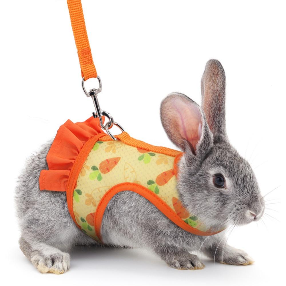 

Breathable Mesh Small Pet Harness Escape Proof Guinea Pig Leash Set Small Animal Training S оранжевый