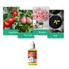 Plant Nutrient Solution 50ml Liquid Fertilizer Promote Rooting Propagation Plant Bloom Booster for Water And Soil Propagation Flowers Fruit Plants