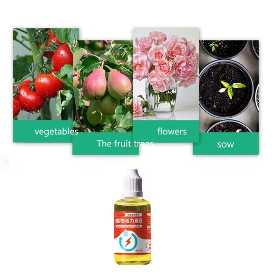 Plant Nutrient Solution 50ml Liquid Fertilizer Promote Rooting Propagation Plant Bloom Booster for Water And Soil Propagation Flowers Fruit Plants