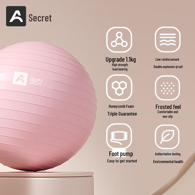 Pregnancy & Fitness Yoga Ball