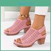High Elegant Heel Sandals Womens Fashion Hollow Out Design Peep Toe Chunky Heels Casual Summer Outdoor Sandals